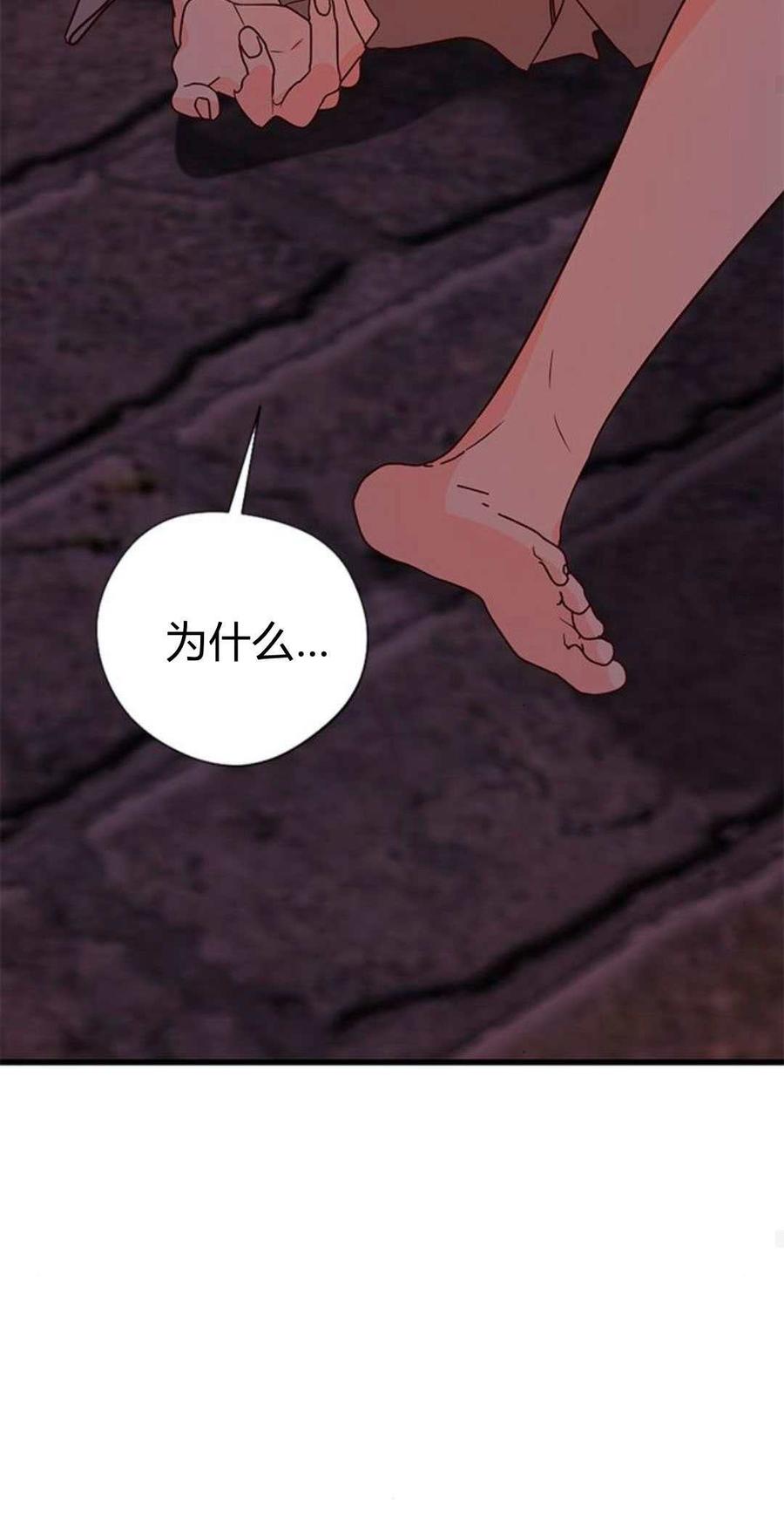 伯爵小姐的双重生活 第88话 第77页
