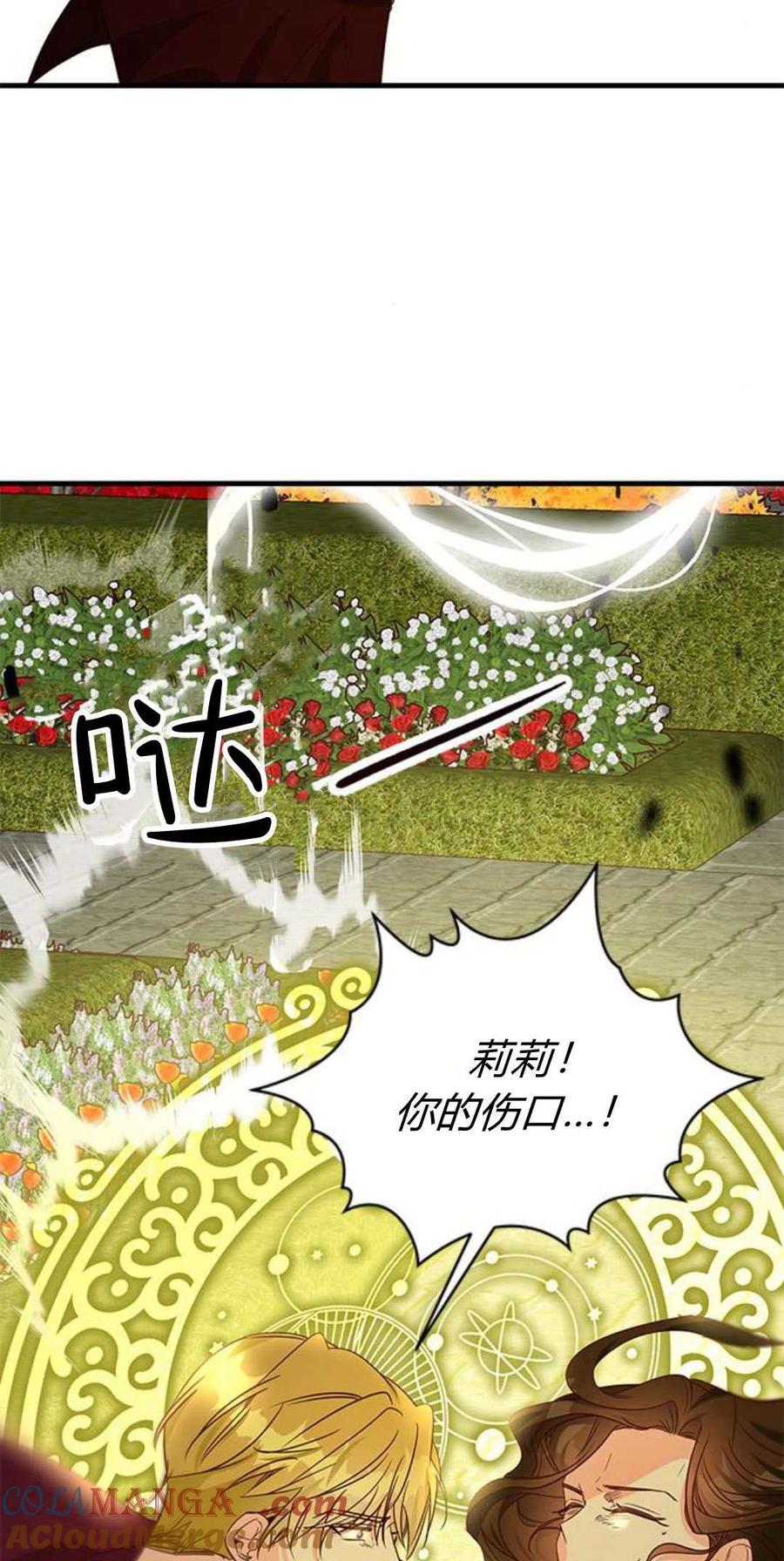 伯爵小姐的双重生活 第88话 第46页