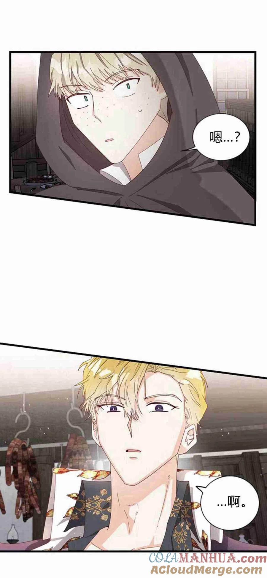 伯爵小姐的双重生活 第08话 第82页