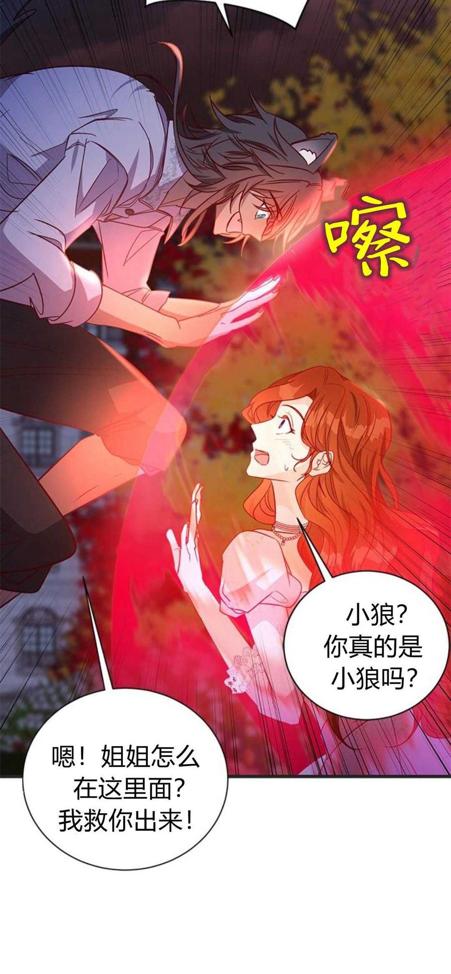 伯爵小姐的双重生活 第90话 第63页
