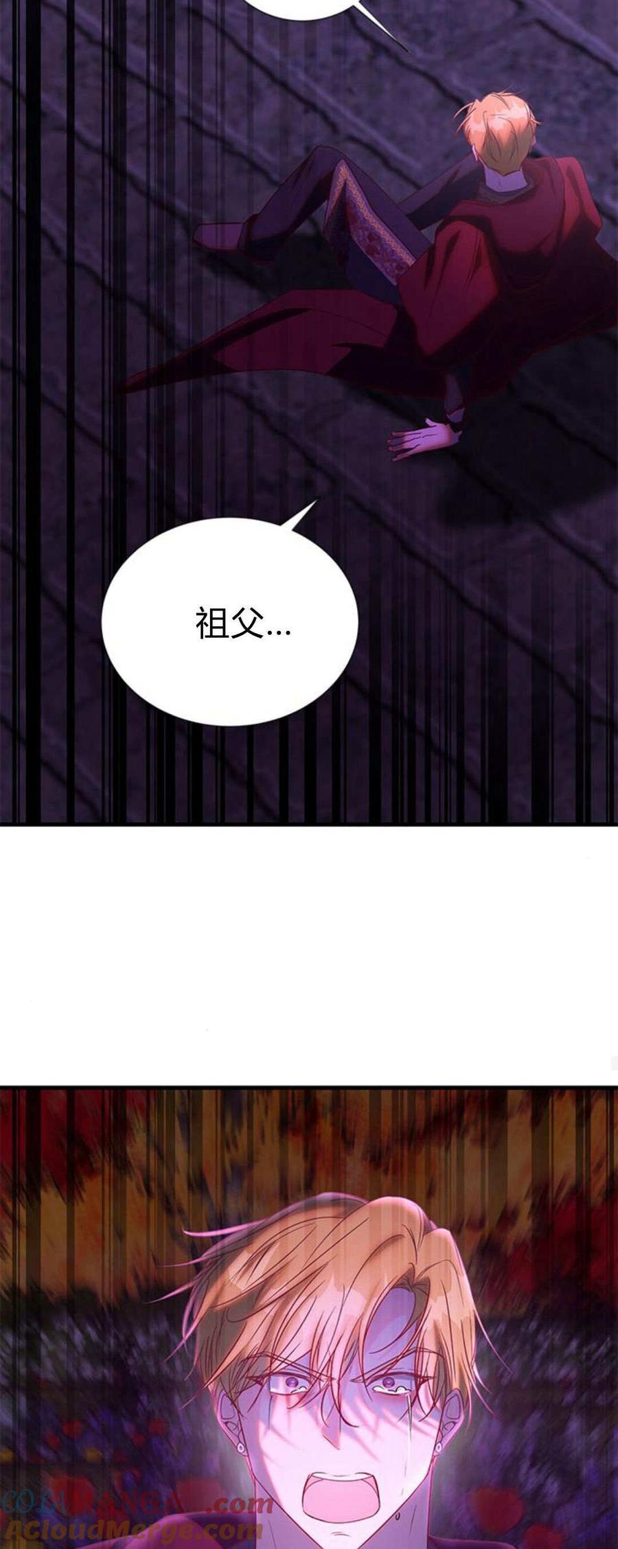 伯爵小姐的双重生活 第91话 第43页