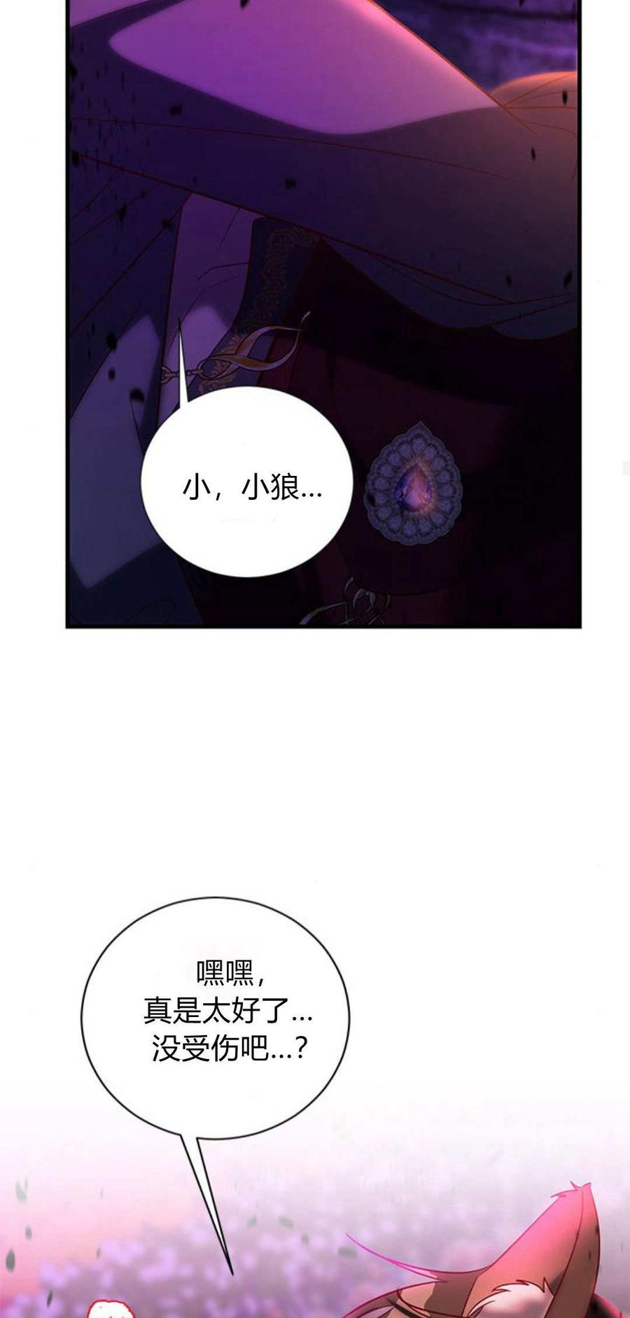 伯爵小姐的双重生活 第91话 第56页