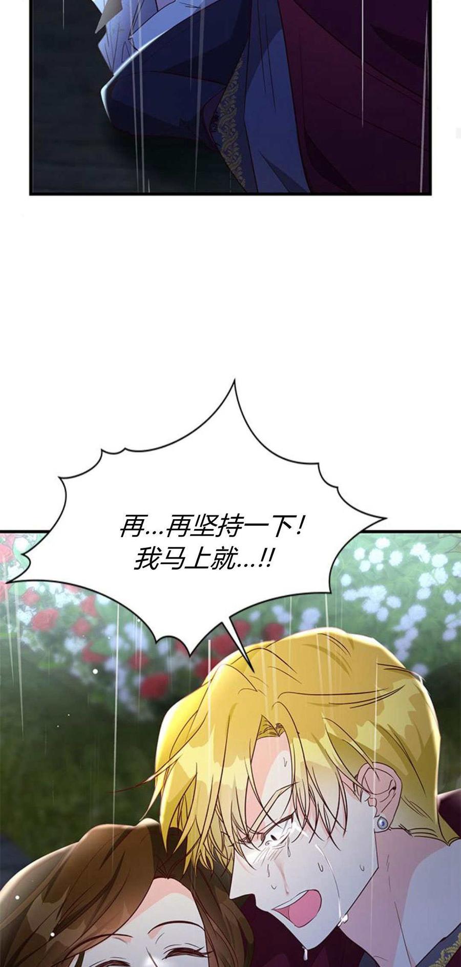 伯爵小姐的双重生活 第92话 第67页