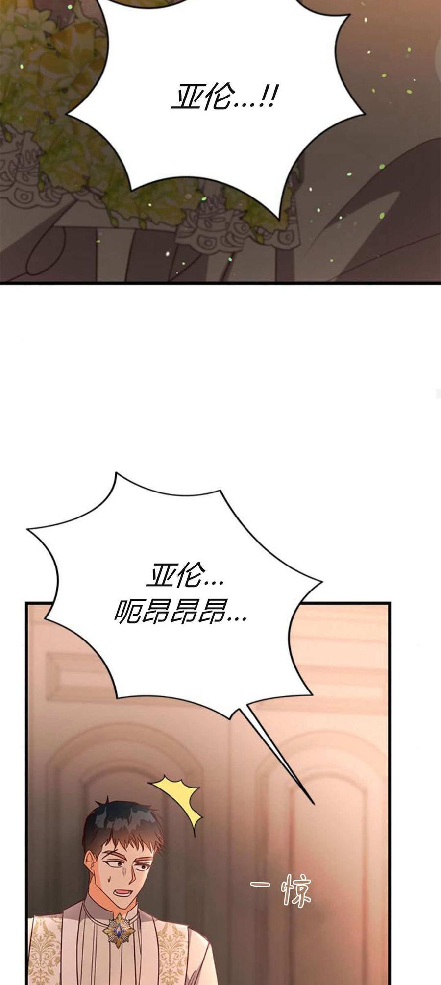 伯爵小姐的双重生活 第94话 第67页
