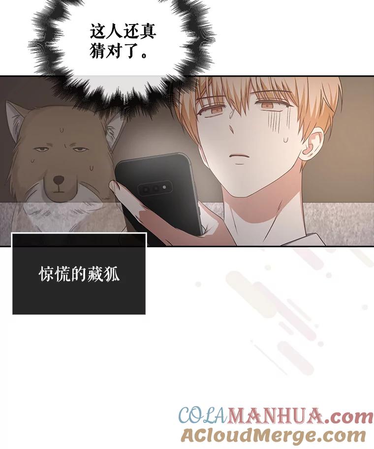 《不出道就完蛋了》49.哈士奇组的危机 第93页