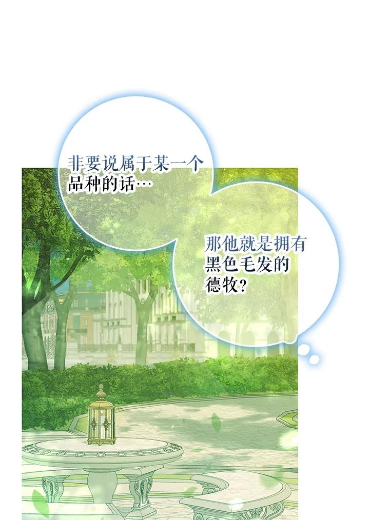 成为我笔下男主之妻 104.失忆 第88页