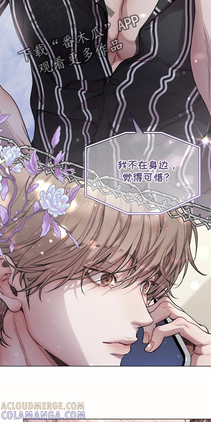 《虚情假意》第141章：很可惜 第15页
