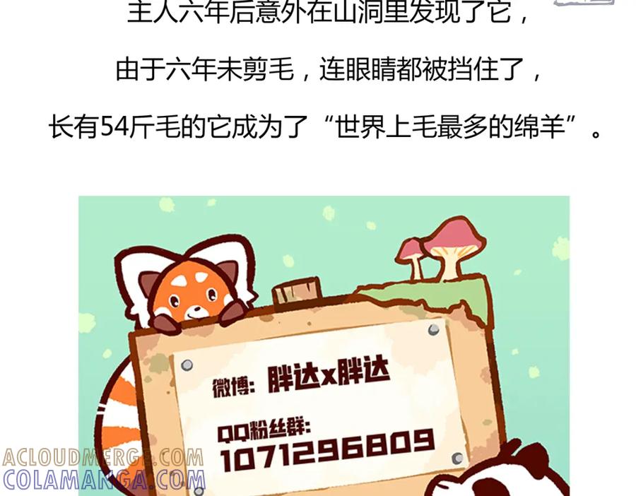 《胖达x胖达》第59话 第31页