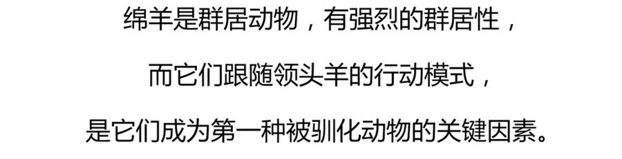 《胖达x胖达》第59话 第28页