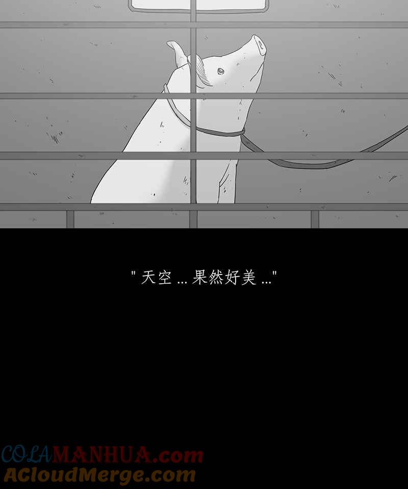 黑盒子 [第118话] 猪人(4) 第3页