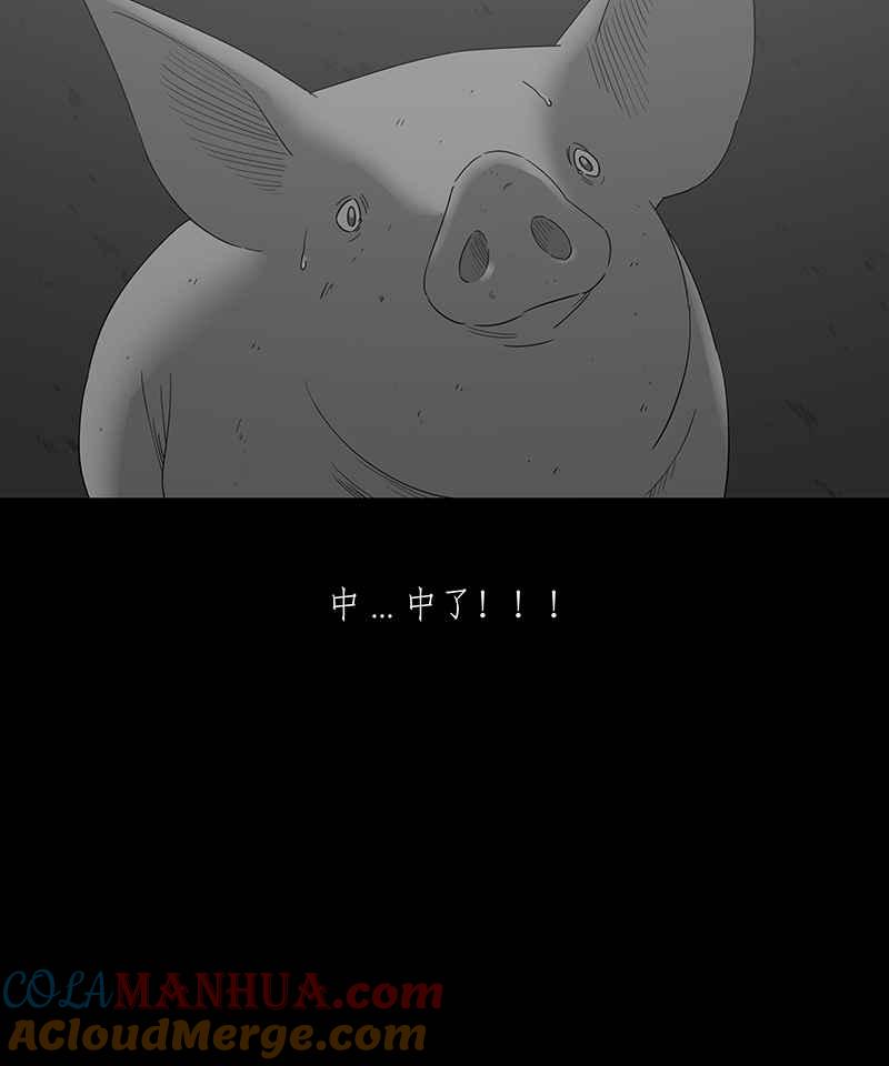 黑盒子 [第118话] 猪人(4) 第35页