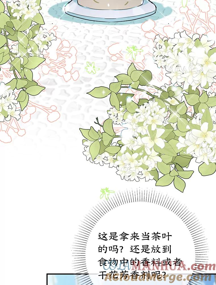 离婚后恶女专注烤蛋糕 - 32.新品开发 - 第5张图