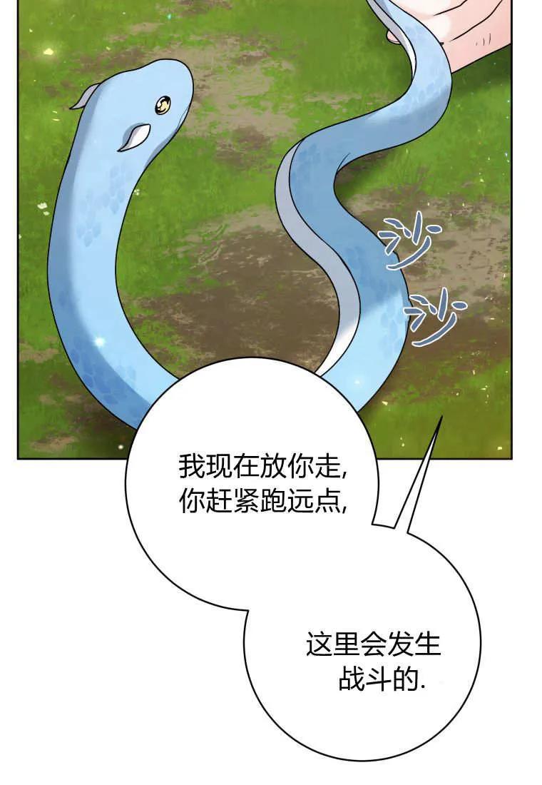 黑幕虎鲸宝宝 第34话 第40页