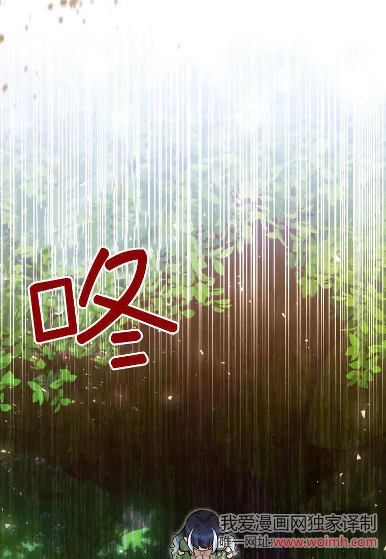 黑幕虎鲸宝宝 第34话 第78页