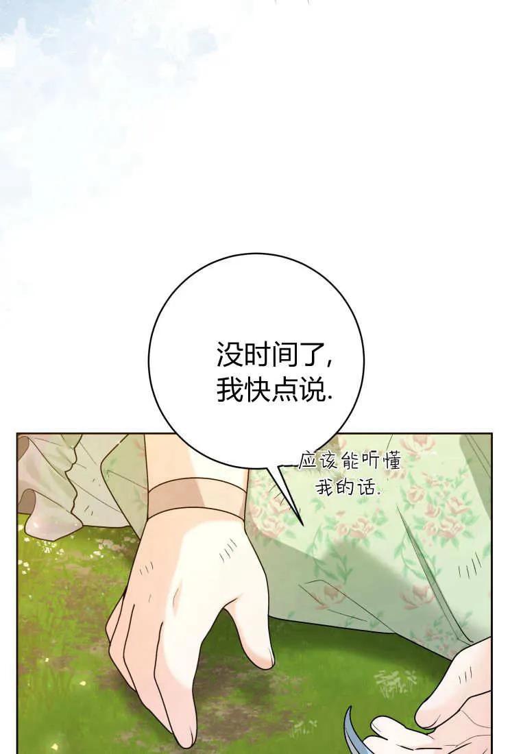 黑幕虎鲸宝宝 第34话 第39页