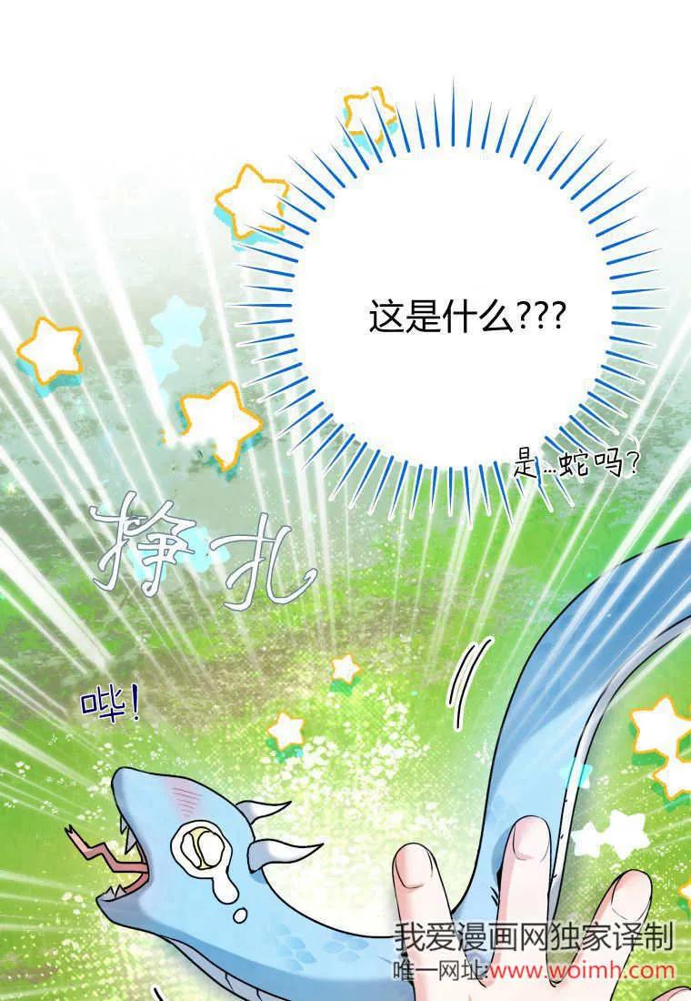 黑幕虎鲸宝宝 第34话 第27页