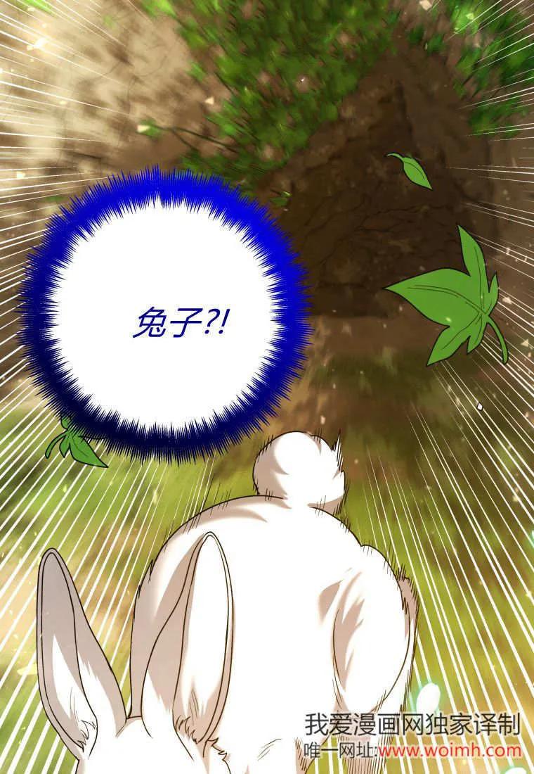 黑幕虎鲸宝宝 第34话 第66页