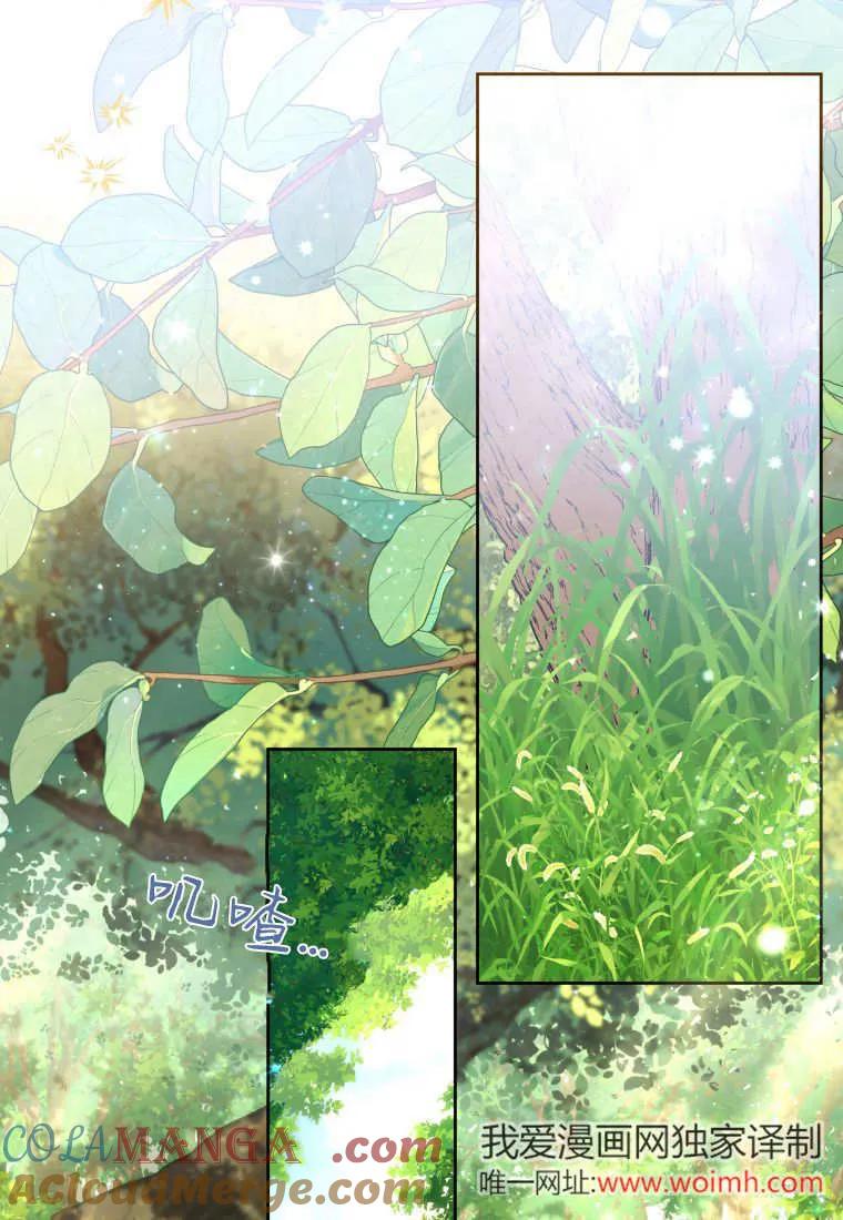 黑幕虎鲸宝宝 第34话 第45页