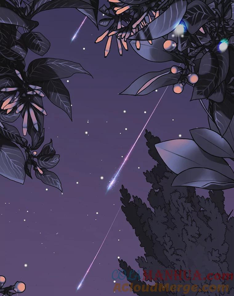 离婚后恶女专注烤蛋糕 - 34.黑色树叶 - 第43张图