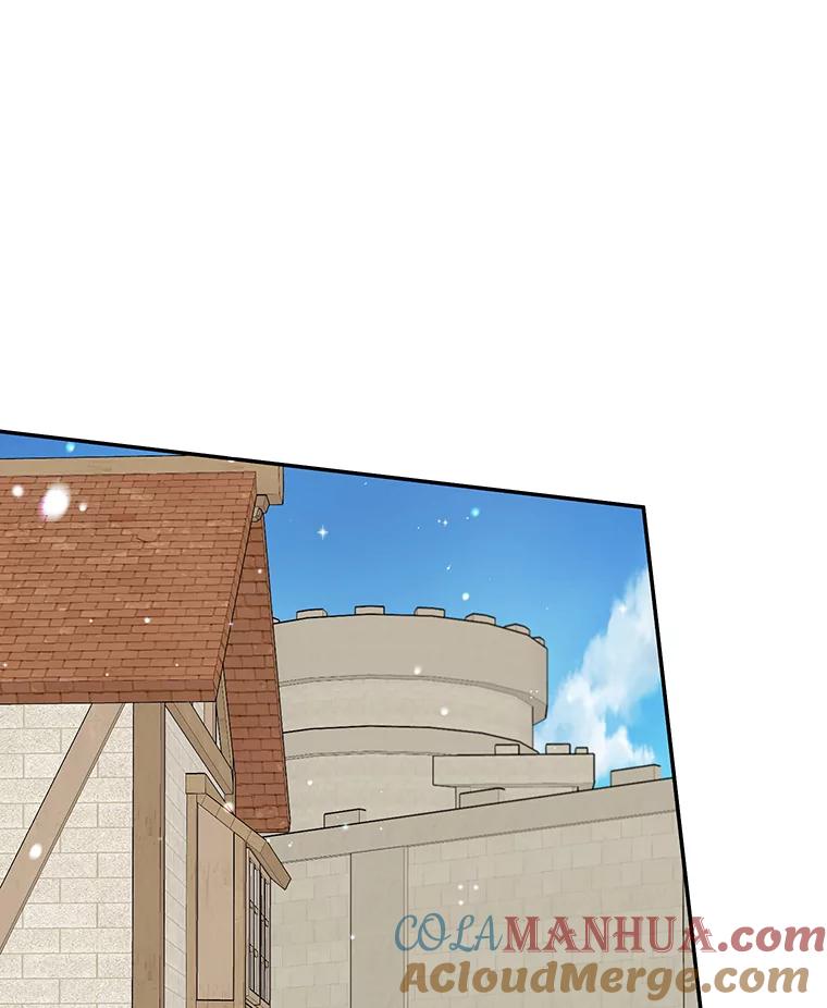 离婚后恶女专注烤蛋糕 - 34.黑色树叶 - 第19张图