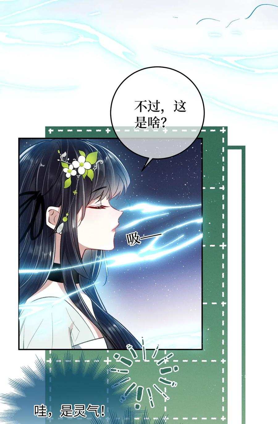 《向师祖献上咸鱼》13 此女果然不简单 第27页