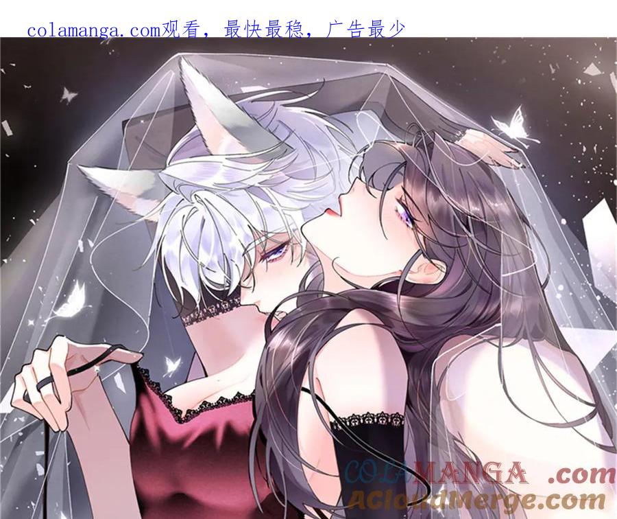 《白天被逃婚晚上被奶凶指挥官求抱抱》41 离婚了 第1页