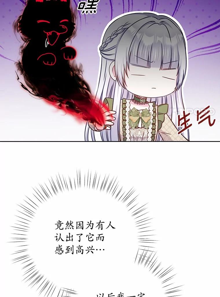 《吞噬太阳的花》31.绑架 第88页