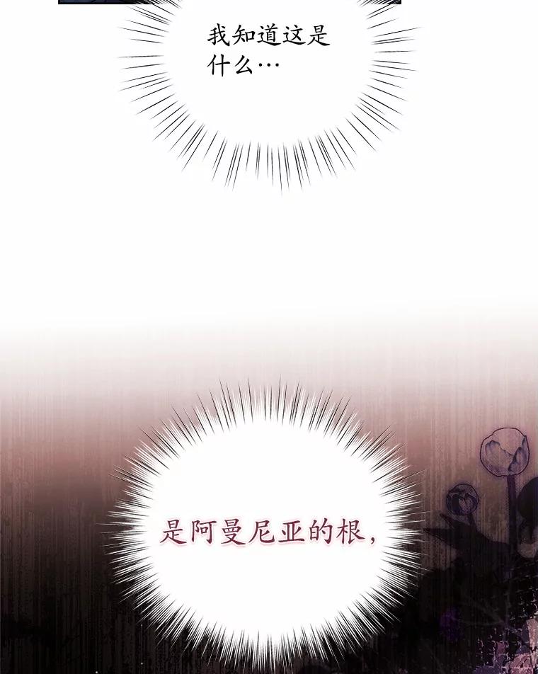 《吞噬太阳的花》32.威胁 第60页