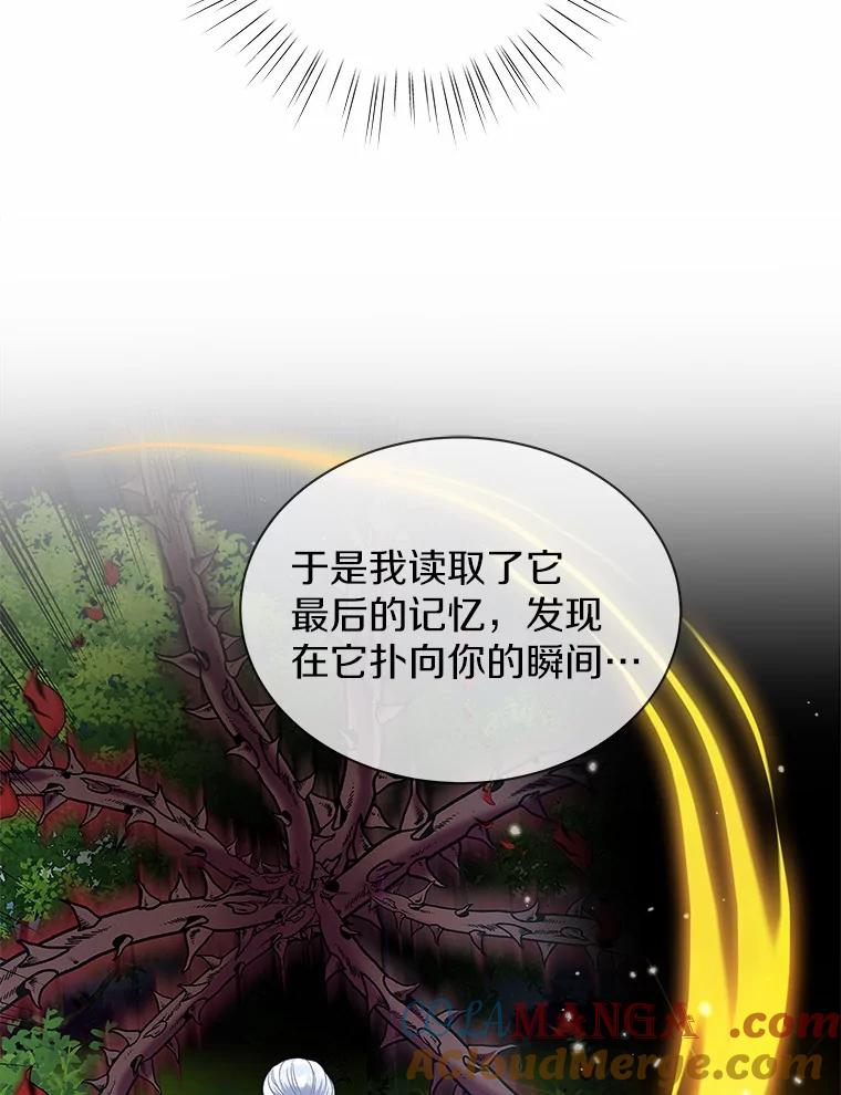 《吞噬太阳的花》33.回忆 第17页