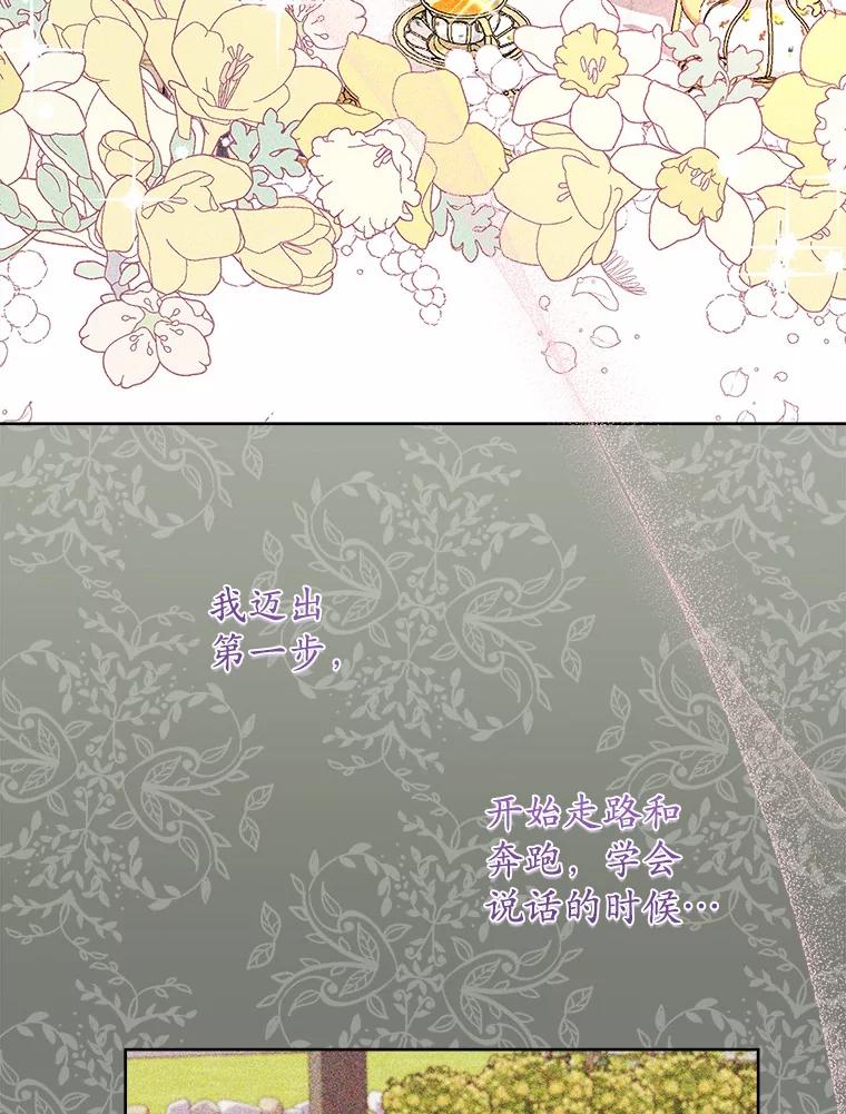 《吞噬太阳的花》33.回忆 第78页