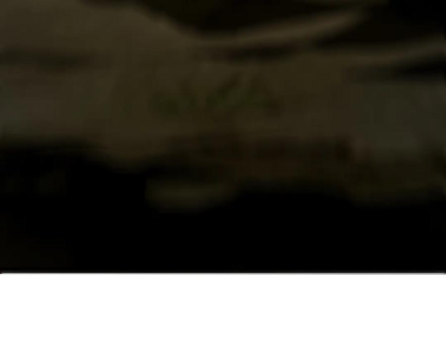 斧神：无敌之路 - 第005话 雷蜥兽王 - 第70张图