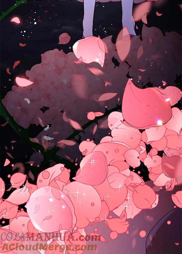 《不可接近的女士》第11话 第34页