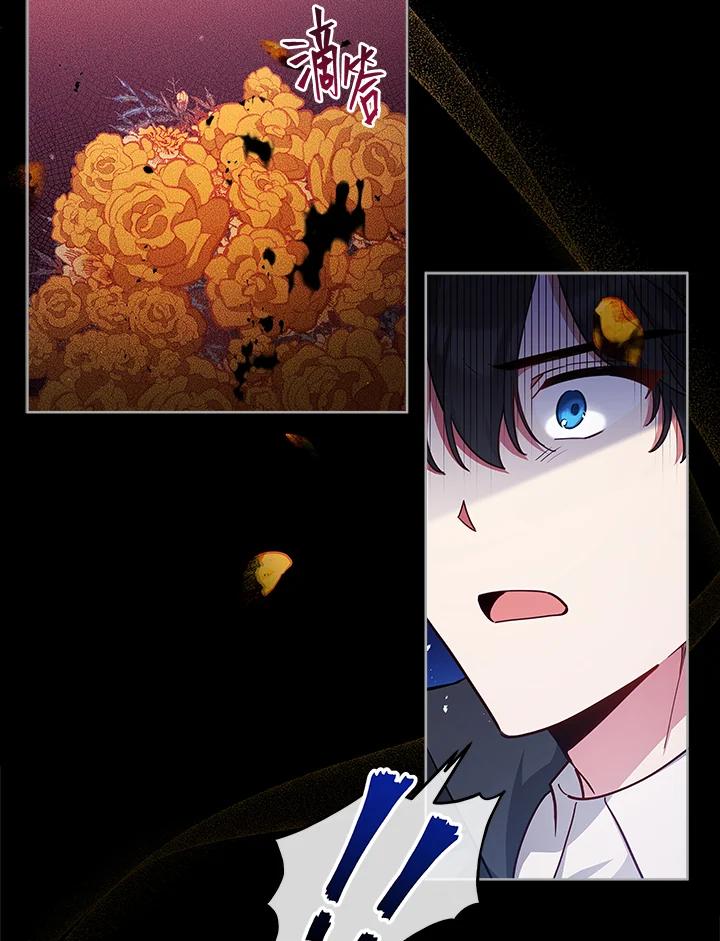《不可接近的女士》第44话 第5页