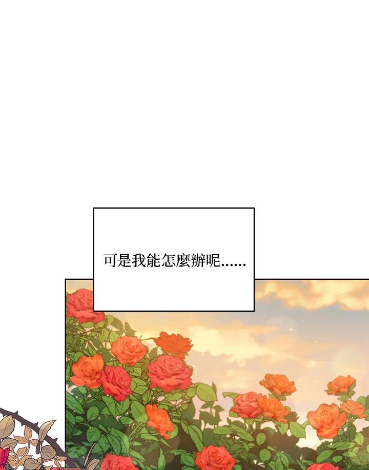 《不可接近的女士》第66话 第90页