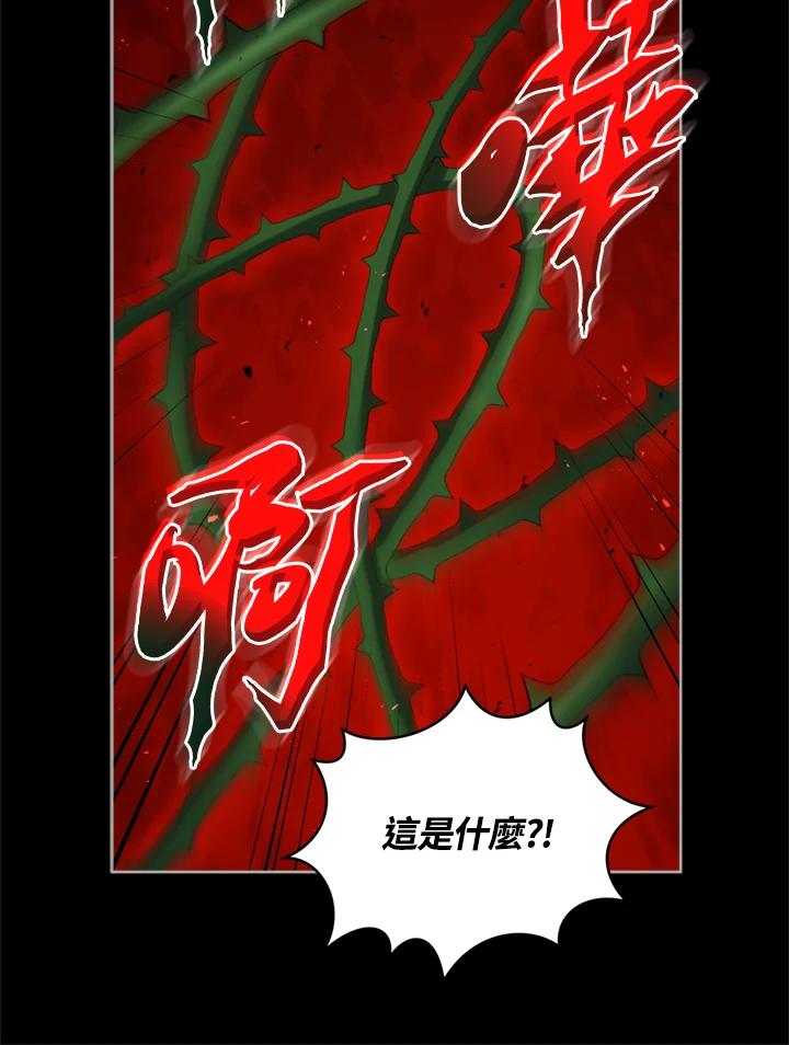 《不可接近的女士》第78话 第11页