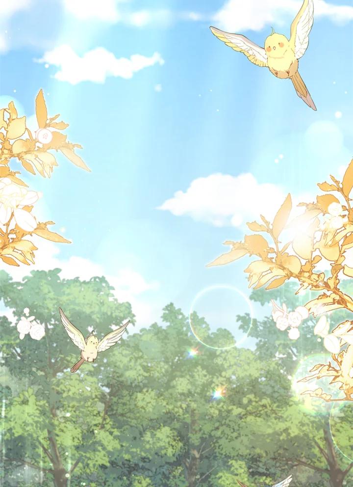 《不可接近的女士》第90话 第71页