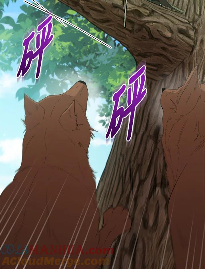 《不可接近的女士》第97话 第5页