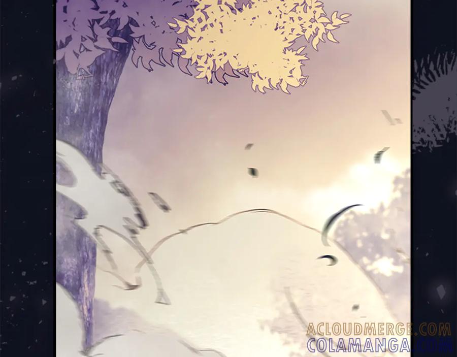奶萌魔力小公主 最终完结话 光辉璀璨 第225页