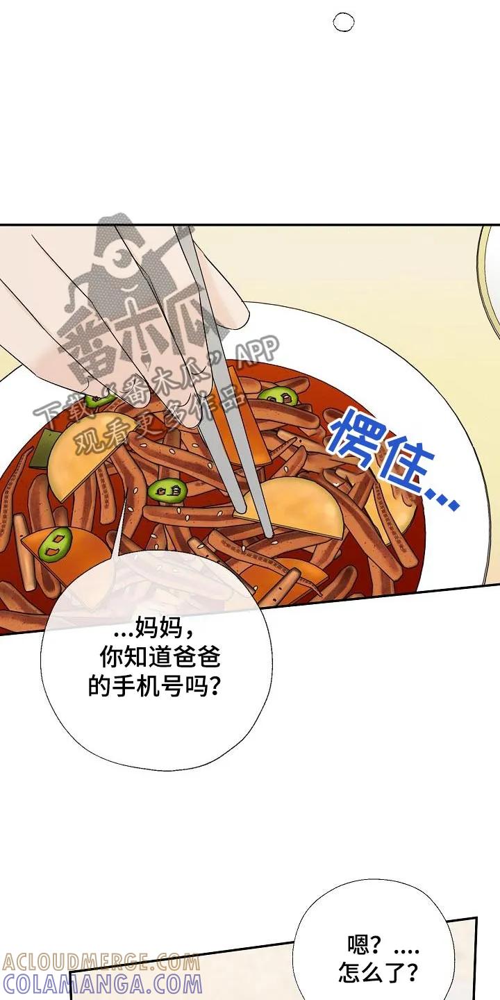 《刻意接近》第80章：离婚了 第13页