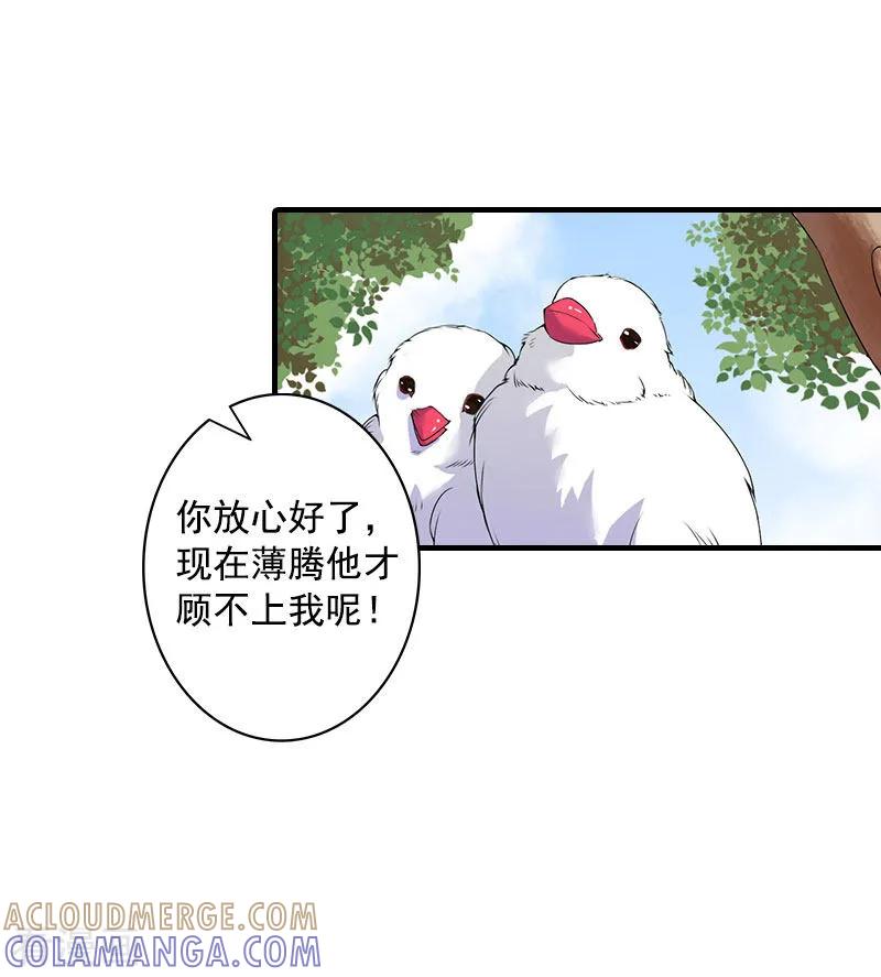 《深爱入骨：独占第一冷少》第12话 不能受太大的刺激 第29页