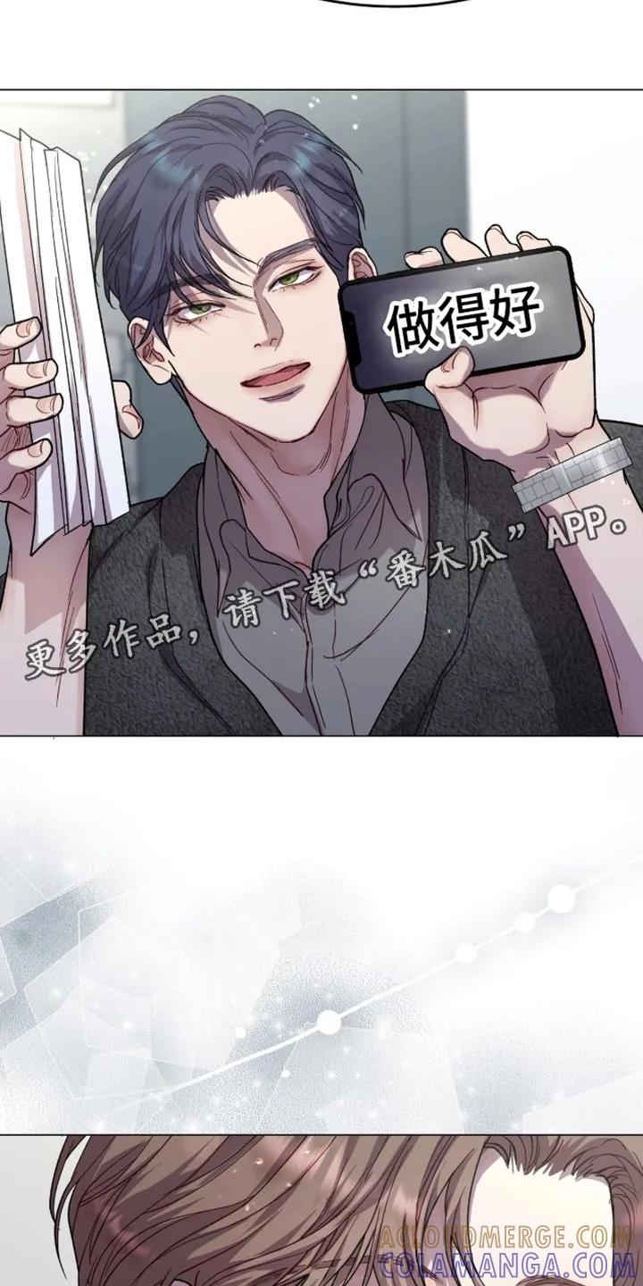 《虚情假意》第171章：【番外】命中注定 第19页
