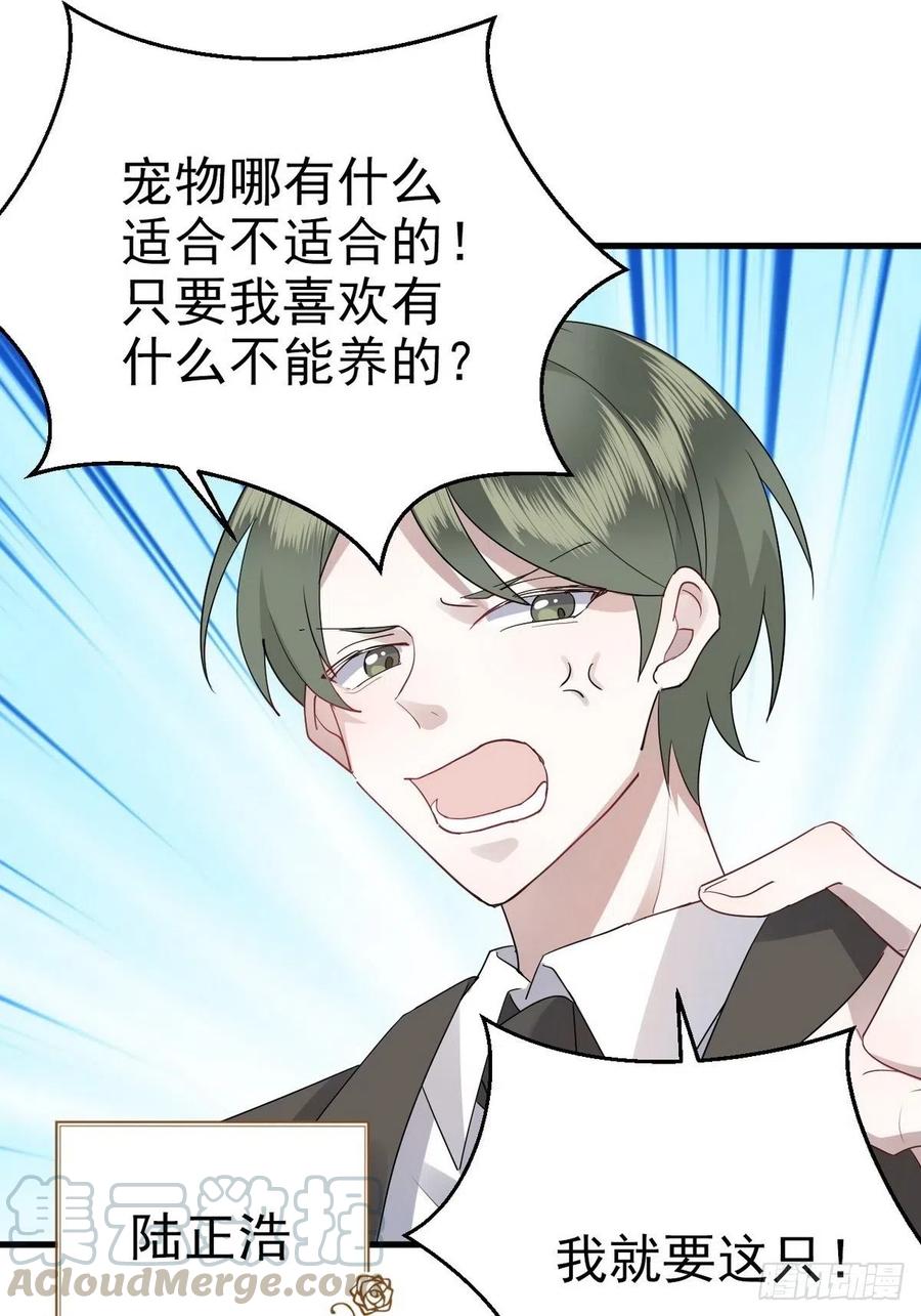 不努力就要当皇夫 003 异发色小孩 第25页