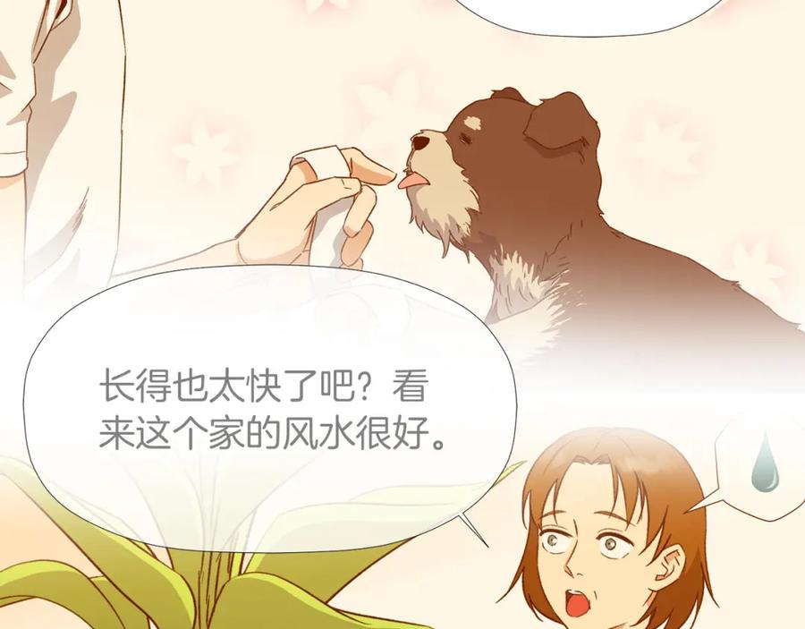 《不能亲吻的她》第40话 往事 第14页