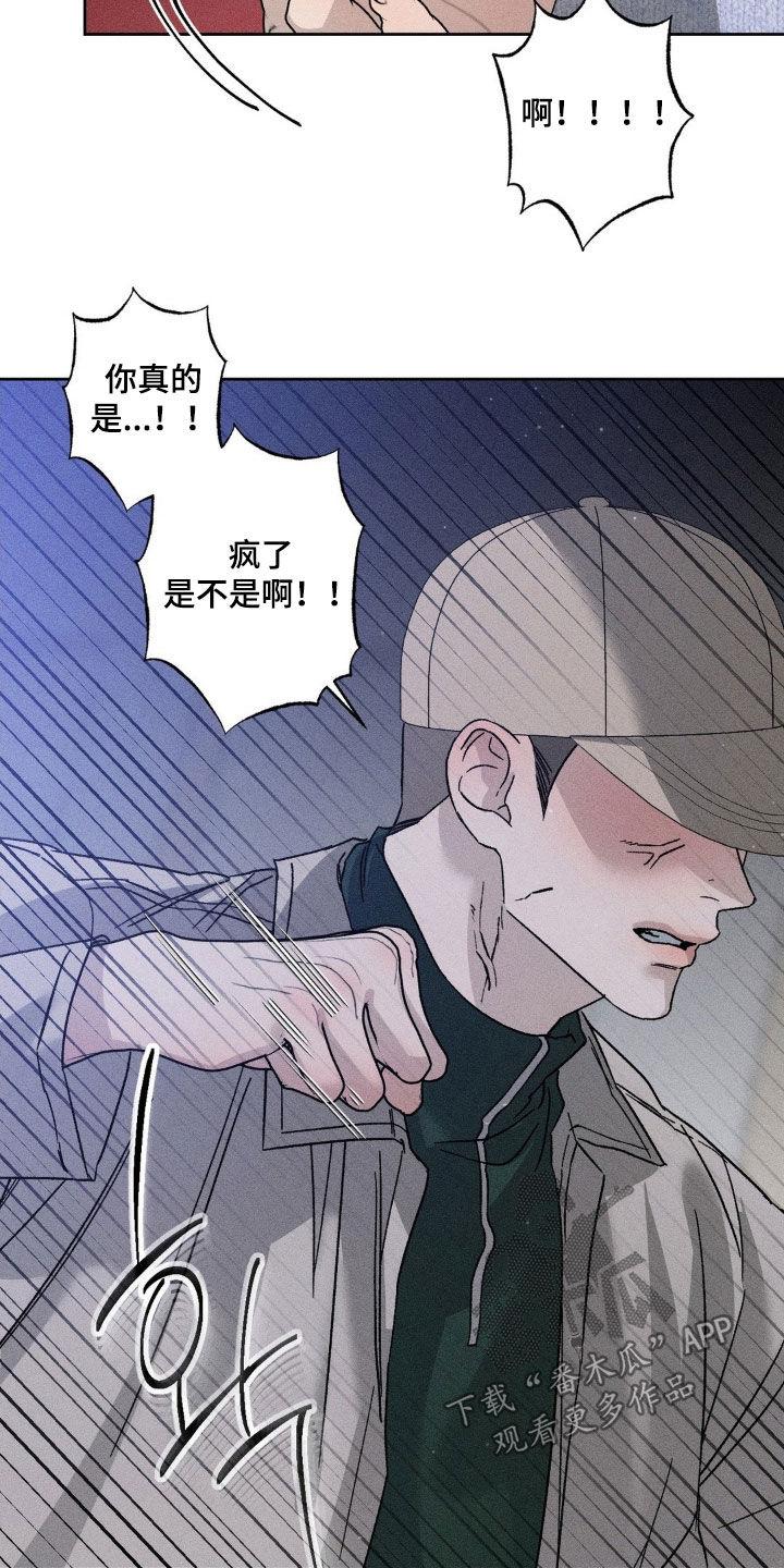 《特写爱意》第52章：是不是疯了 第20页