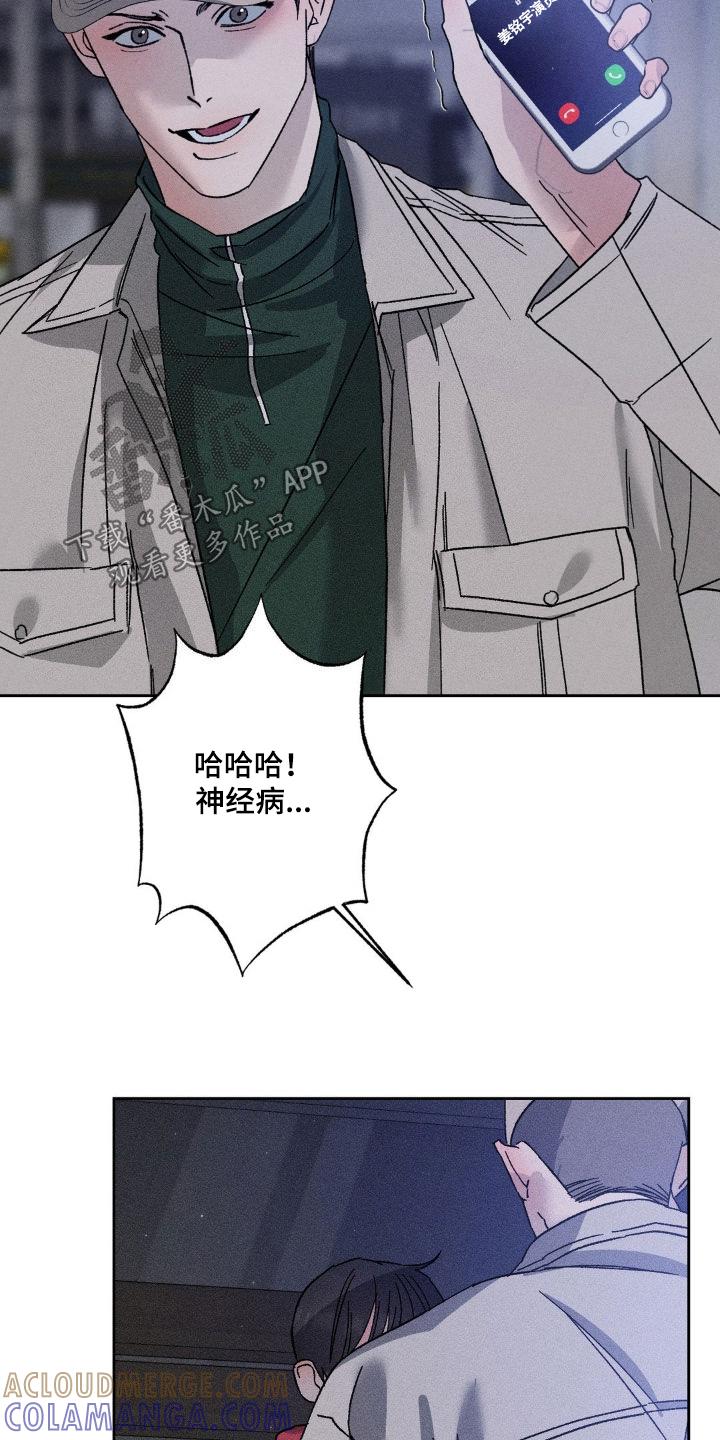 《特写爱意》第52章：是不是疯了 第13页