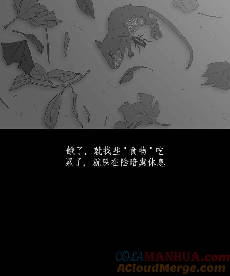黑盒子 [第95话] 梦婆（2） 第21页