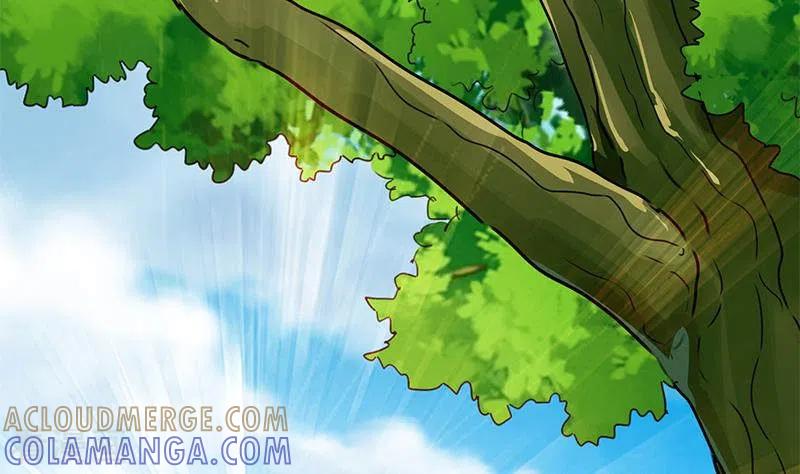 《不凡的菜鸡》第32话 这只翠花中暑了 第4页
