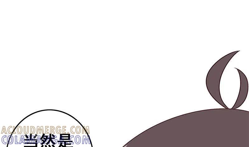 《不凡的菜鸡》第36话 除了帅一无是处 第13页