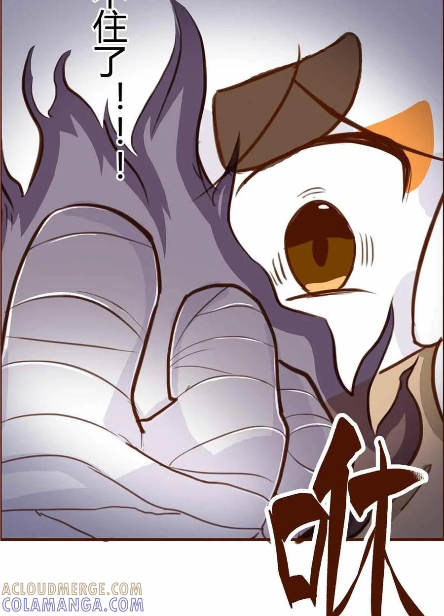 《京剧猫喵日常》第71话：是谁？抢主角位的家伙 第3页
