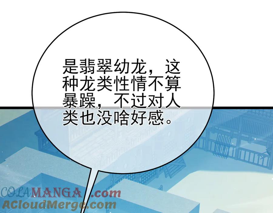 《我靠无敌被动打出成吨伤害！》第84话 签约龙宠 第85页